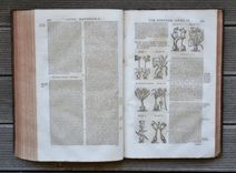 Les commentaires sur les dix livres de la matière médicinale de Peda-cius Dioscoride, Anazarbéen. Traduits de latin en françois, par M. An-toine du Pinet: et enrichis de nouveau d'un nombre considérable de figures; et augmentez tant de plusieurs remèdes à diverses sortes de maladies: comme aussi d'un traité de chymie en abrégé, pour l'ana-lyse, tant des végétaux que de quelques animaux & minéraux, par un docteur en médecine. Dernière édition, reveuë, corrigée & mise dans un meilleur langage: avec deux tables latine & françoise. - image 8