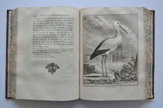 Œuvres complètes de M. de Buffon - image 9