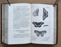 Histoire Naturelle de Buffon, classée par ordres, genres et espèces, d’après le système de Linné (...) - image 9