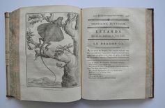 Œuvres complètes de M. de Buffon - image 7