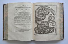 Œuvres complètes de M. de Buffon - image 8