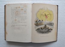 Un autre monde  - image 6