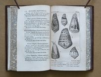 Histoire Naturelle de Buffon, classée par ordres, genres et espèces, d’après le système de Linné (...) - image 12
