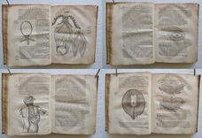 Les traitez de l’homme et de la formation du fœtus, composés par Mr Descartes, & mis au jour depuis sa mort, par Mr Clerselier. Avec des remarques de Louys de La Force, Docteur en Médecine, sur le Traité de l’Homme du même auteur, & sur les figures par lui inventées. - image 7