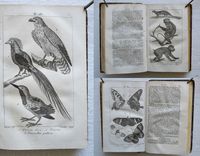 Nouveau dictionnaire d’Histoire Naturelle, appliquée aux arts, à l’agriculture, à l’économie rurale et domestique, à la médecine, etc.
Par une Société de naturalistes et d’agriculteurs.
Nouvelle édition presque entièrement refondue et considérablement augmentée ; avec des figures tirées des trois règnes de la nature. - image 1
