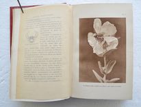 Souvenirs entomologiques – Études sur l’instinct et les mœurs des insectes – Édition définitive illustrée [suivi de : ] La vie de J.H. Fabre naturaliste, suivie du répertoire général analytique des souvenirs entomologiques par le Dr G.-V. Legros. - image 7