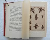Souvenirs entomologiques – Études sur l’instinct et les mœurs des insectes – Édition définitive illustrée [suivi de : ] La vie de J.H. Fabre naturaliste, suivie du répertoire général analytique des souvenirs entomologiques par le Dr G.-V. Legros. - image 9