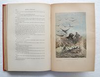 Les voyages extraordinaires – Michel Strogoff / Moscou à Irkoutsk – Suivi de : un drame au Mexique. Dessins de J. Férat, gravés par Ch. Barbant. - image 6
