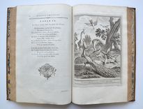 Fables choisies - image 9