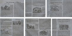 Les commentaires sur les dix livres de la matière médicinale de Peda-cius Dioscoride, Anazarbéen. Traduits de latin en françois, par M. An-toine du Pinet: et enrichis de nouveau d'un nombre considérable de figures; et augmentez tant de plusieurs remèdes à diverses sortes de maladies: comme aussi d'un traité de chymie en abrégé, pour l'ana-lyse, tant des végétaux que de quelques animaux & minéraux, par un docteur en médecine. Dernière édition, reveuë, corrigée & mise dans un meilleur langage: avec deux tables latine & françoise. - image 5
