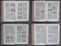 Les commentaires sur les dix livres de la matière médicinale de Peda-cius Dioscoride, Anazarbéen. Traduits de latin en françois, par M. An-toine du Pinet: et enrichis de nouveau d'un nombre considérable de figures; et augmentez tant de plusieurs remèdes à diverses sortes de maladies: comme aussi d'un traité de chymie en abrégé, pour l'ana-lyse, tant des végétaux que de quelques animaux & minéraux, par un docteur en médecine. Dernière édition, reveuë, corrigée & mise dans un meilleur langage: avec deux tables latine & françoise. - image 4