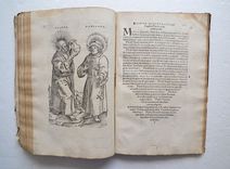 Experimentarius medicinae / Continens Trotulae curandarum aegritudinum muliebrium, ante, in, & post-partum lib. unicum, nusquam antea editum ...  - image 1