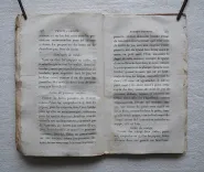 La cuisine de santé, préservative des maladies. - photo