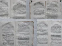 La cuisine de santé, préservative des maladies. - photo