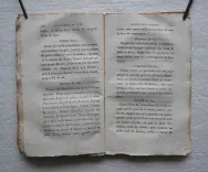 La cuisine de santé, préservative des maladies. - photo