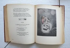 Les fleurs du mal.
Illustrations de Carlo Farneti. - photo