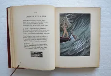 Les fleurs du mal.
Illustrations de Carlo Farneti. - photo