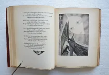 Les fleurs du mal.
Illustrations de Carlo Farneti. - photo