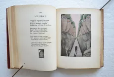 Les fleurs du mal.
Illustrations de Carlo Farneti. - photo