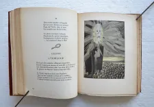 Les fleurs du mal.
Illustrations de Carlo Farneti. - photo