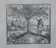 Biblia Sacra des oudé ende nieuwé Testamets ofte de Gantshe heylige shrift (…). - photo