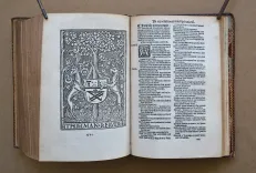 Biblia sacra, integrum utriusque Testamenti corpus complectens, diligenter recognita et emendata. Cul concordantiis simul et argumentis : cumque juris canonici allegationibus passim adnotatis. Insuper in calce ejusdem, annexe sunt nominum Hebraicorum, Chaldeorum, atque Grecorum interpretationes. Huic editioni adjectus est index rerum et sententiarum Veteris et Novi Testamenti. - photo