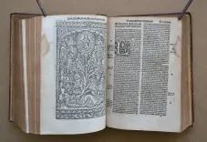 Biblia sacra, integrum utriusque Testamenti corpus complectens, diligenter recognita et emendata. Cul concordantiis simul et argumentis : cumque juris canonici allegationibus passim adnotatis. Insuper in calce ejusdem, annexe sunt nominum Hebraicorum, Chaldeorum, atque Grecorum interpretationes. Huic editioni adjectus est index rerum et sententiarum Veteris et Novi Testamenti. - photo
