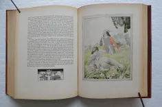 Les contes – Décaméron, traduit de l’italien par Antoine Le Maçon / Les cinq premières journées.
Illustrations de Brunelleschi. - photo