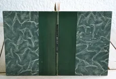 Langue basque et langues finnoises. - photo