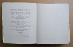 La leçon d’amour dans un parc. - photo