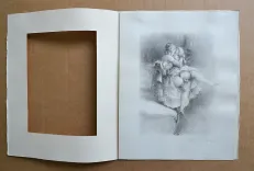 La leçon d’amour dans un parc. - photo