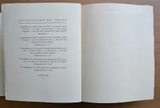 Les nouvelles leçons d’amour dans un parc. - photo