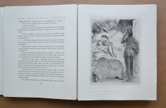 Les nouvelles leçons d’amour dans un parc. - photo