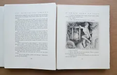 Les nouvelles leçons d’amour dans un parc. - photo