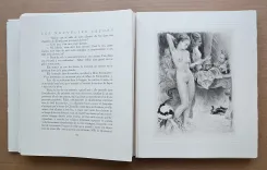 Les nouvelles leçons d’amour dans un parc. - photo