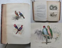 Œuvres complètes. Avec la nomenclature linnéenne et la classification de Cuvier.
Revues sur l’édition in-4° de l’Imprimerie Royale et annotées par M. Flourens. - photo