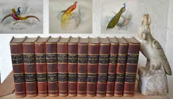 Œuvres complètes. Avec la nomenclature linnéenne et la classification de Cuvier.
Revues sur l’édition in-4° de l’Imprimerie Royale et annotées par M. Flourens. - photo