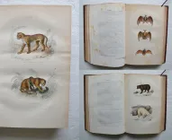 Œuvres complètes. Avec la nomenclature linnéenne et la classification de Cuvier.
Revues sur l’édition in-4° de l’Imprimerie Royale et annotées par M. Flourens. - photo