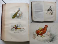 Œuvres complètes. Avec la nomenclature linnéenne et la classification de Cuvier.
Revues sur l’édition in-4° de l’Imprimerie Royale et annotées par M. Flourens. - photo