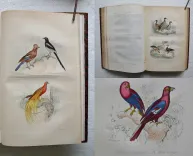 Œuvres complètes. Avec la nomenclature linnéenne et la classification de Cuvier.
Revues sur l’édition in-4° de l’Imprimerie Royale et annotées par M. Flourens. - photo