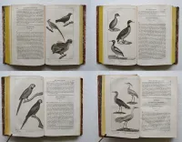 Œuvres complètes de Buffon, mises en ordre, précédées d’une notice sur la vie de l’auteur, et suivies d’un discours intitulé : Vue générale des progrès de plusieurs branches des sciences naturelles depuis le milieu du dernier siècle.
Nouvelle édition, ornée de nouvelles et superbes figures.
[Suivi de] : Histoire naturelle des quadrupèdes ovipares, par M. le Comte de Lacépède. Suite et complément des œuvres de Buffon. - photo