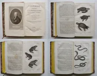 Œuvres complètes de Buffon, mises en ordre, précédées d’une notice sur la vie de l’auteur, et suivies d’un discours intitulé : Vue générale des progrès de plusieurs branches des sciences naturelles depuis le milieu du dernier siècle.
Nouvelle édition, ornée de nouvelles et superbes figures.
[Suivi de] : Histoire naturelle des quadrupèdes ovipares, par M. le Comte de Lacépède. Suite et complément des œuvres de Buffon. - photo