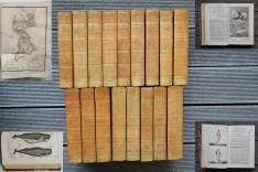 Œuvres complètes de Buffon, mises en ordre, précédées d’une notice sur la vie de l’auteur, et suivies d’un discours intitulé : Vue générale des progrès de plusieurs branches des sciences naturelles depuis le milieu du dernier siècle.
Nouvelle édition, ornée de nouvelles et superbes figures.
[Suivi de] : Histoire naturelle des quadrupèdes ovipares, par M. le Comte de Lacépède. Suite et complément des œuvres de Buffon. - photo