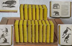 Œuvres complètes de Buffon, mises en ordre, précédées d’une notice sur la vie de l’auteur, et suivies d’un discours intitulé : Vue générale des progrès de plusieurs branches des sciences naturelles depuis le milieu du dernier siècle.
Nouvelle édition, ornée de nouvelles et superbes figures.
[Suivi de] : Histoire naturelle des quadrupèdes ovipares, par M. le Comte de Lacépède. Suite et complément des œuvres de Buffon. - photo