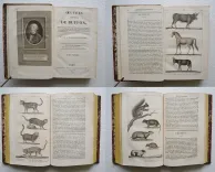 Œuvres complètes de Buffon, mises en ordre, précédées d’une notice sur la vie de l’auteur, et suivies d’un discours intitulé : Vue générale des progrès de plusieurs branches des sciences naturelles depuis le milieu du dernier siècle.
Nouvelle édition, ornée de nouvelles et superbes figures.
[Suivi de] : Histoire naturelle des quadrupèdes ovipares, par M. le Comte de Lacépède. Suite et complément des œuvres de Buffon. - photo