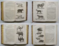 Œuvres complètes de Buffon, mises en ordre, précédées d’une notice sur la vie de l’auteur, et suivies d’un discours intitulé : Vue générale des progrès de plusieurs branches des sciences naturelles depuis le milieu du dernier siècle.
Nouvelle édition, ornée de nouvelles et superbes figures.
[Suivi de] : Histoire naturelle des quadrupèdes ovipares, par M. le Comte de Lacépède. Suite et complément des œuvres de Buffon. - photo