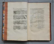 Mémoires de Castelnau sur grand papier - photo