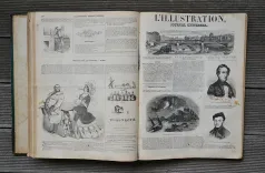 Nouveau dictionnaire d’Histoire Naturelle, appliquée aux arts, à l’agriculture, à l’économie rurale et domestique, à la médecine, etc.
Par une Société de naturalistes et d’agriculteurs.
Nouvelle édition presque entièrement refondue et considérablement augmentée ; avec des figures tirées des trois règnes de la nature. - photo