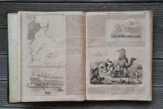 Nouveau dictionnaire d’Histoire Naturelle, appliquée aux arts, à l’agriculture, à l’économie rurale et domestique, à la médecine, etc.
Par une Société de naturalistes et d’agriculteurs.
Nouvelle édition presque entièrement refondue et considérablement augmentée ; avec des figures tirées des trois règnes de la nature. - photo