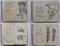 Dictionnaire des sciences médicales, par une société de médecins et de chirurgiens (…). - photo